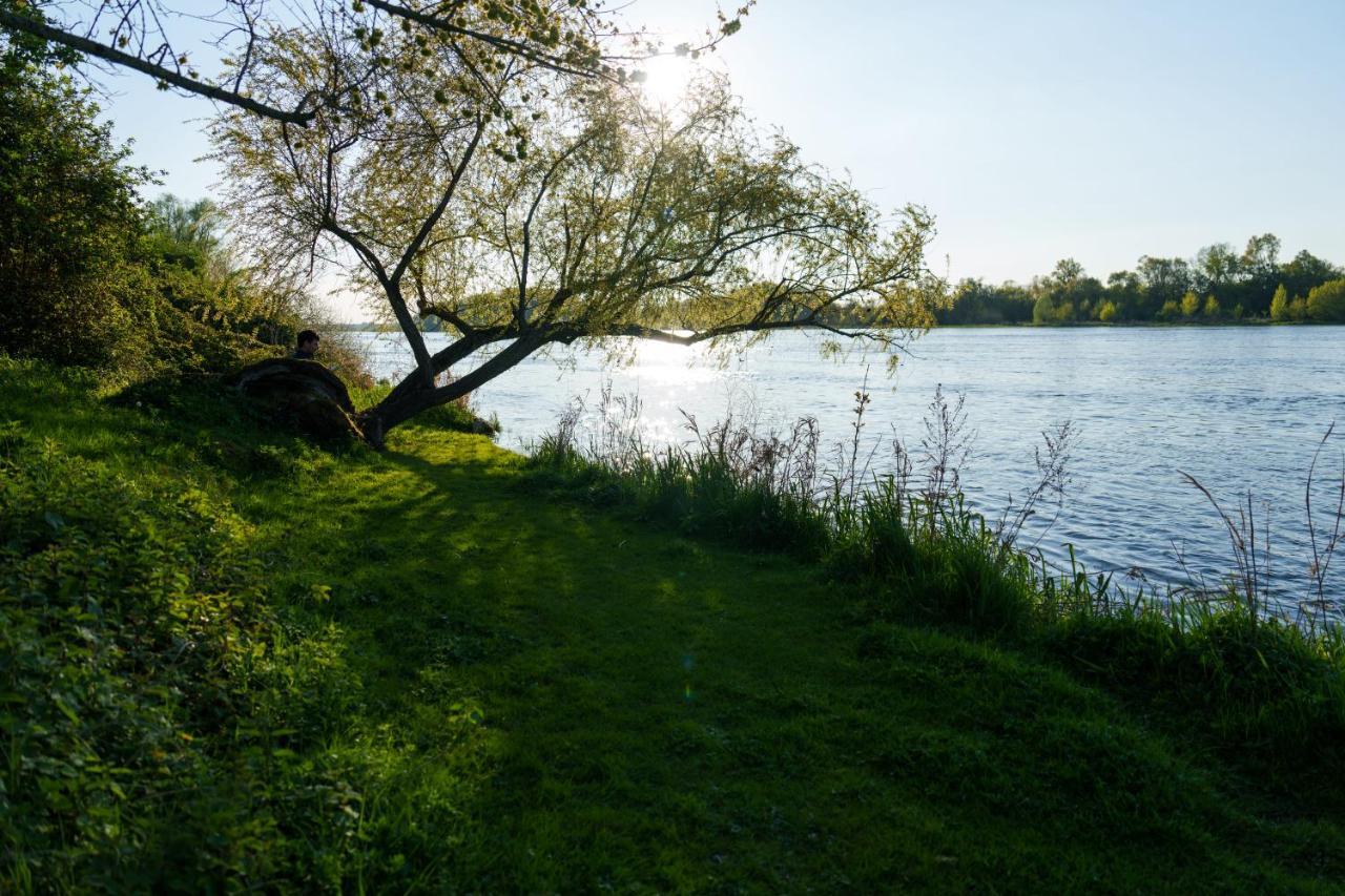 Hébergement de vacances Dome Avec Vue Sur Loire Proche De Chambord Saint-Dyé-sur-Loire